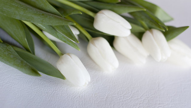 Les tulipes