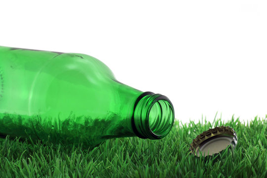 bierflasche in wiese