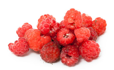Ripe berries of raspberry