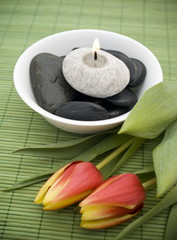 Spring zen like SPA with red tulips