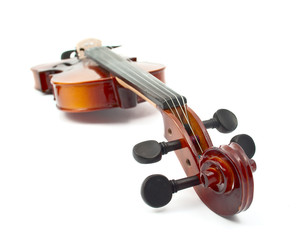 violin on white background