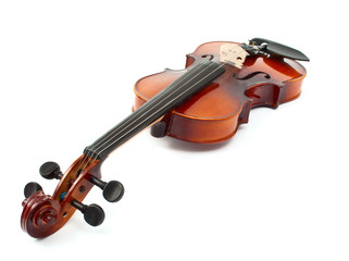 violin
