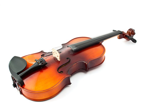 violin
