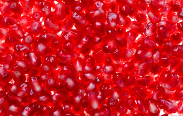 Pomegranate background