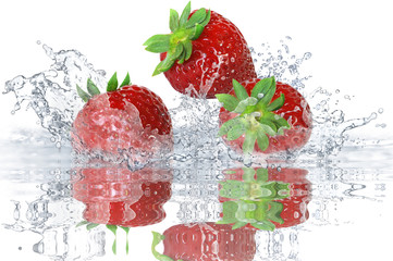 Obst 256