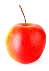 An Apple isolated on white