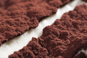 Classic, traditional tiramisu fresh cake