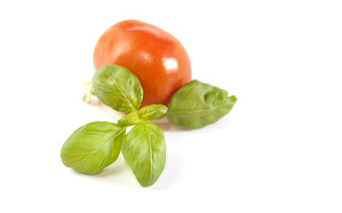 tomate et basilic