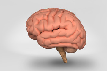 SoftBrain side