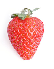 Single fresh red strawberry