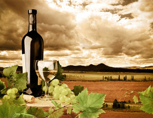 Wine and vineyard in sunset