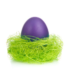 easter egg in nest