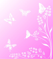 white butterfly illustration on pink