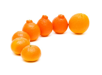Tangerines on white background close-ups