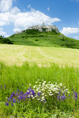 Obraz na płótnie Canvas Spissky Castle, Slovakia