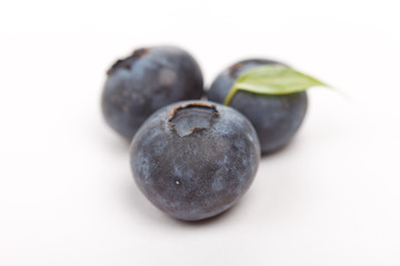 fresh blueberries