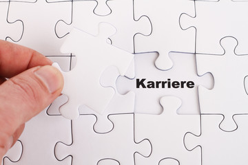 Puzzle Karriere