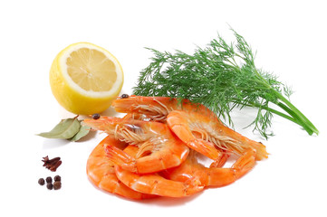 fresh royal shrimps