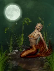 Poster Im Rahmen Meerjungfrau © Ancello