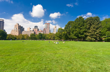 Fototapeta na wymiar Central Park w Nowym Jorku