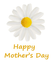 Mother's Day card with a daisy isolated on white