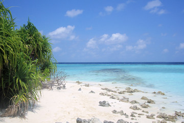 Tropical Paradise Maldives Holiday Dream_0025.jpg