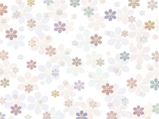 Fototapeta na wymiar Flowers on white background