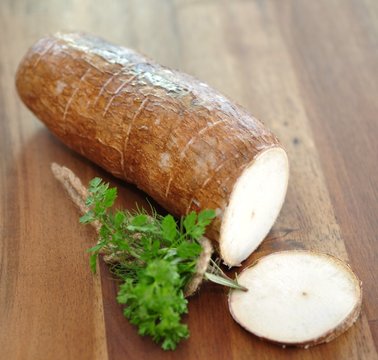Maniokwurzel