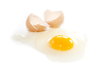 l'oeuf