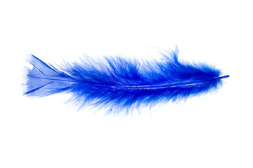 Feather