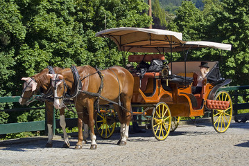 Pferdekutsche in Karlsbad