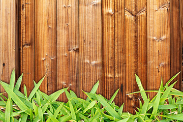 Grass On Wood Plank Background