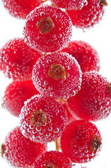 Red currant in water