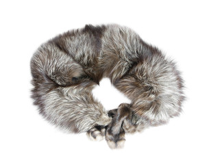 Collar of silver fox