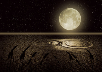 The full moon in the night sky reflected in water