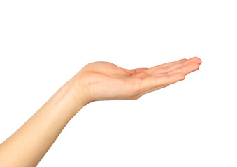 Female hand on a white background