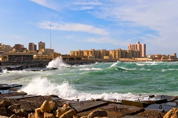 Peel and stick wall murals City on the water the coast of Alexandria, Egypt