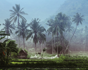 Obraz premium Small house with fishing net in the tropical forest near the pond