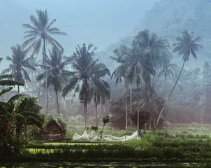 Kleines Haus mit Fischernetz im tropischen Wald nahe dem Teich © Dudarev Mikhail