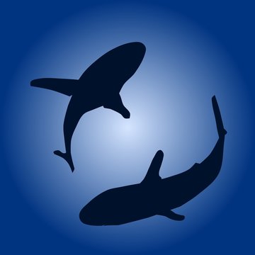 Silhouette of two sharks in deep blue ocean