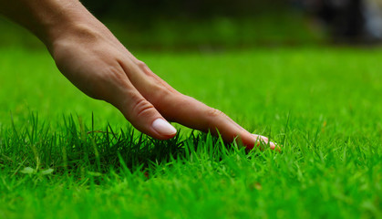 Hand over green lush grass