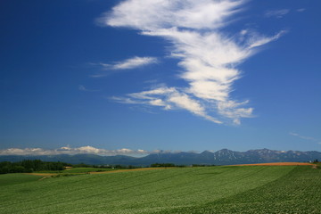 夏の北海道
