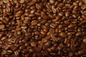 caffè