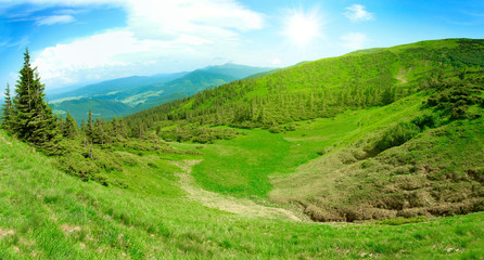 Fototapeta na wymiar Fantastic green meadow in mountain