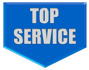 Marker blau Pfeil unten TOP SERVICE