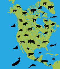 Animals of North America