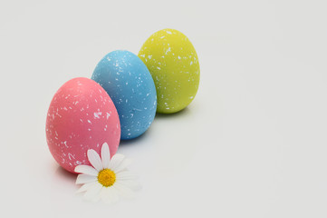 Drei bunte Ostereier mit Blüte