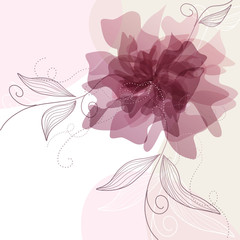 Sfondo con fiori delicati - Delicate floral background