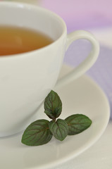 Mint Tea
