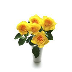 Yellow rose